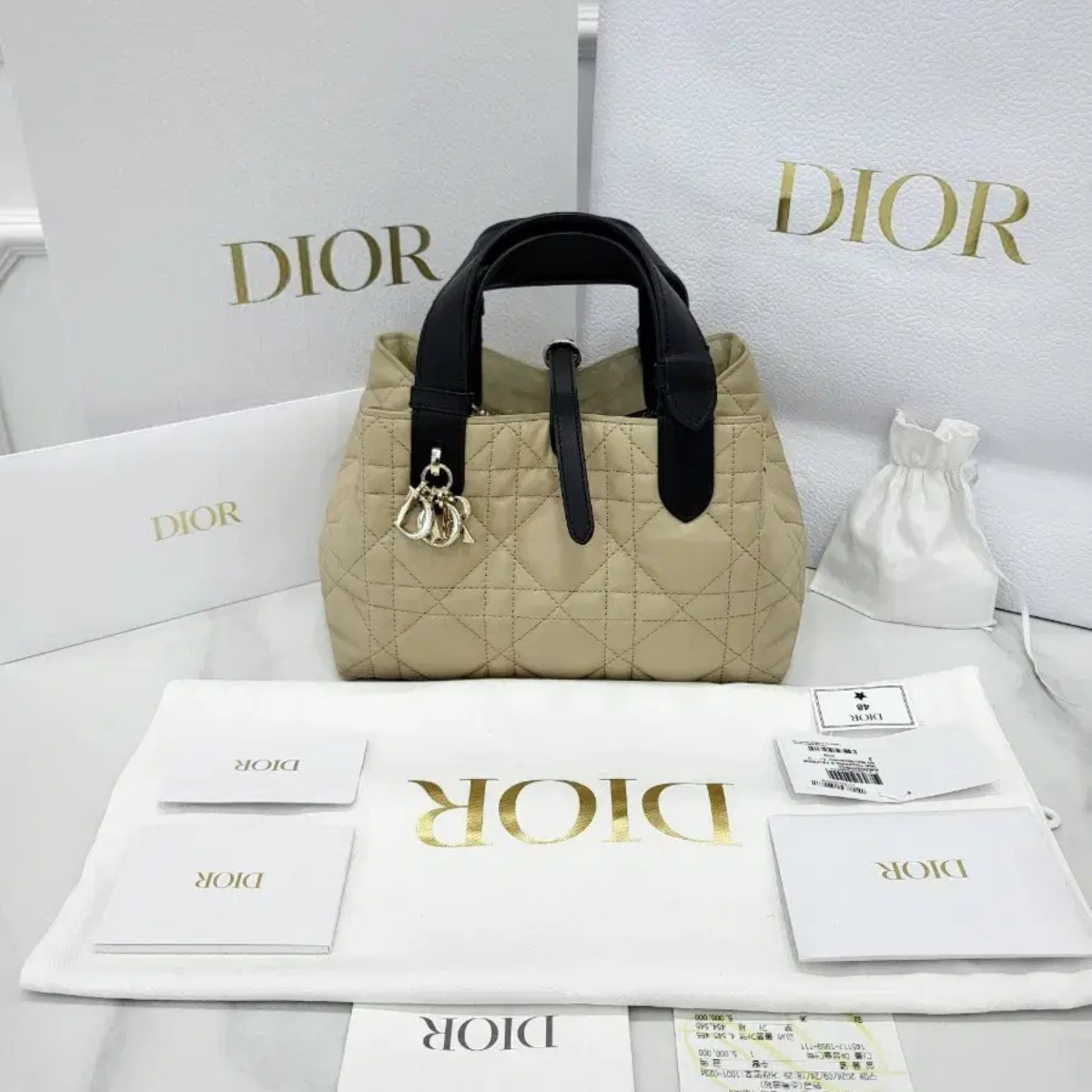 DIOR TOUJOURS SMALL BAG
