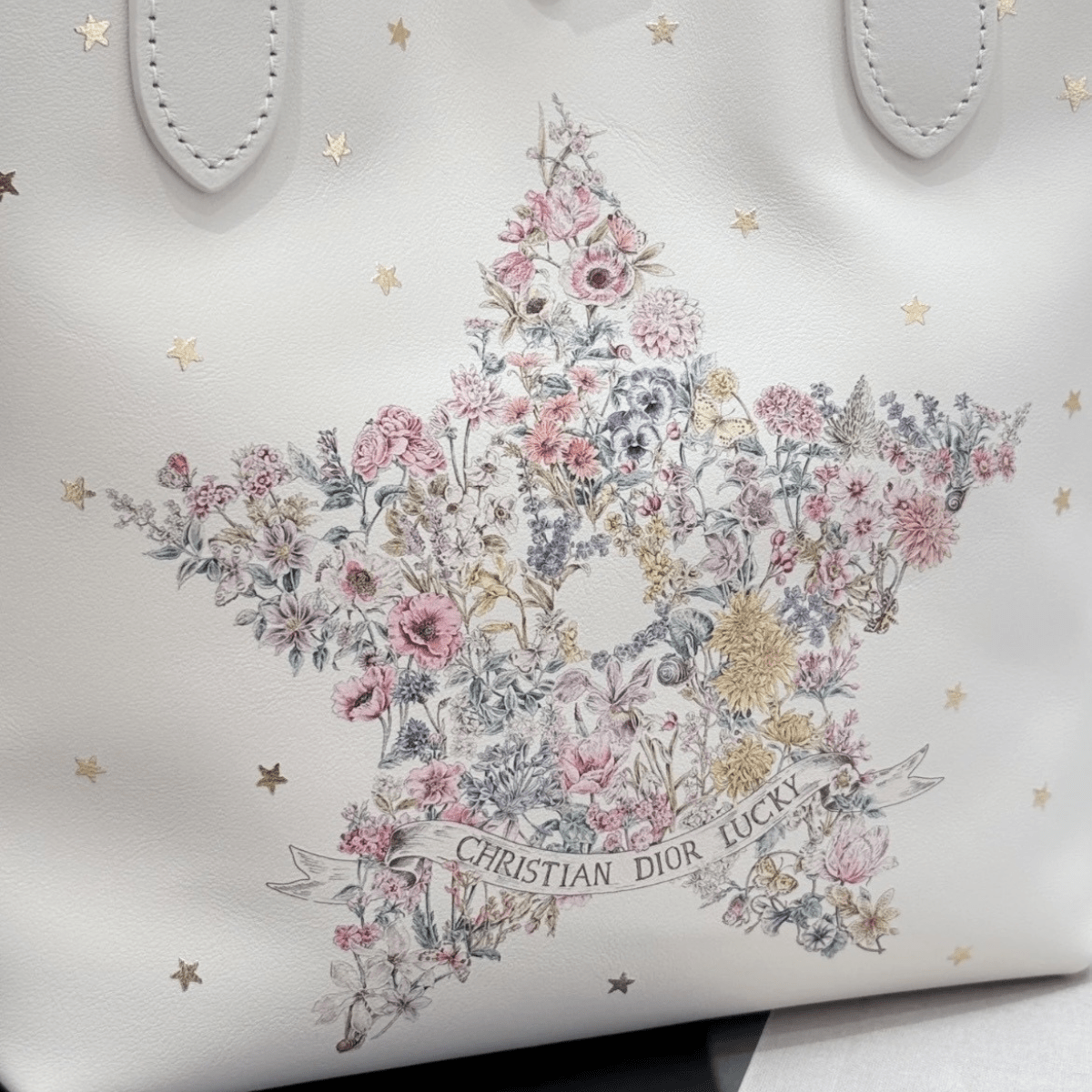 VERTICAL SMALL DIOR LUCKY DIOR TOUJOURS TOTE BAG